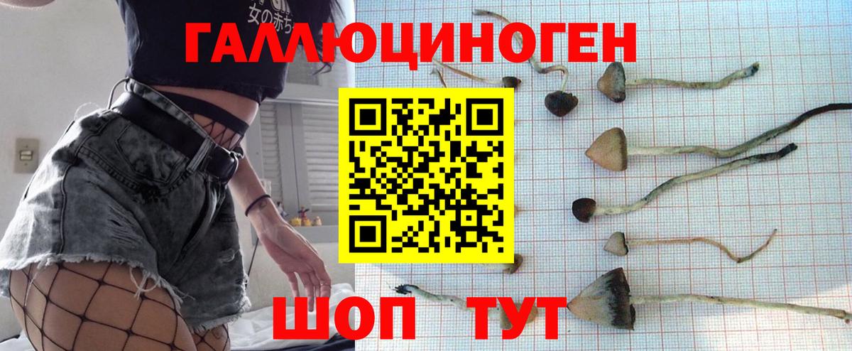 Псилоцибиновые грибы мухоморы Оренбург